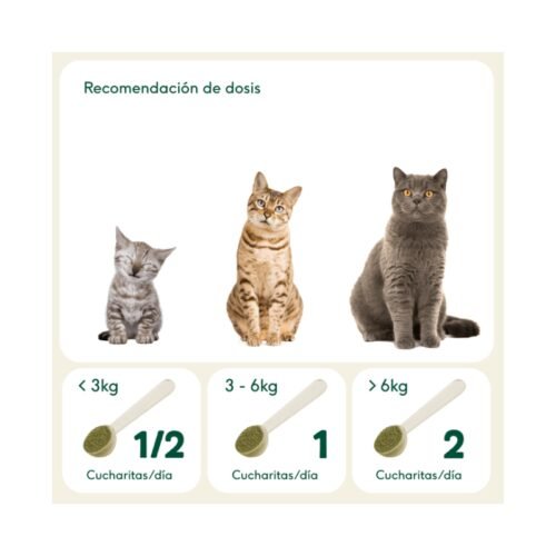 Tabla de dosificación de espirulina para gatos por peso