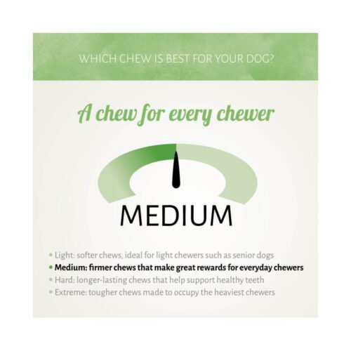 Guía de masticación nivel medio Antos