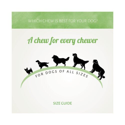 Guía de tallas de perro para Antos Fish D'light Beams