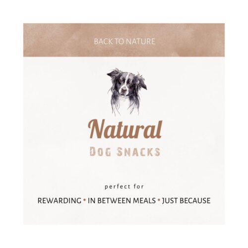 Perro esperando su snack natural Antos