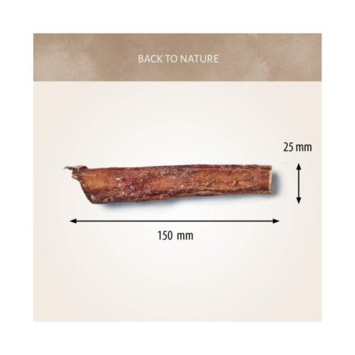 Medidas del nervio de toro 15cm por 25mm