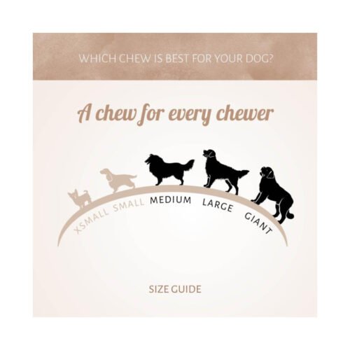 Guía de tamaños de perro para snacks Antos