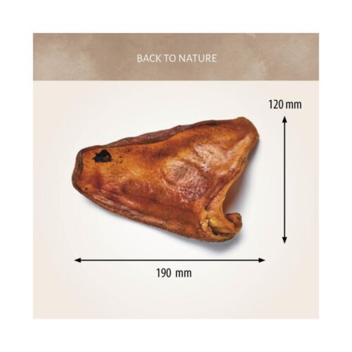 Medidas oreja de cerdo Antos 190mm x 120mm