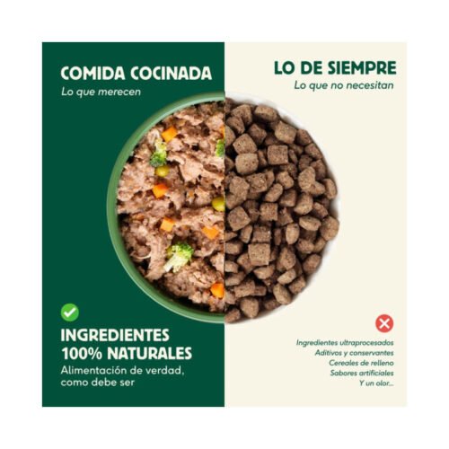 Comparativa comida real vs pienso ultraprocesado