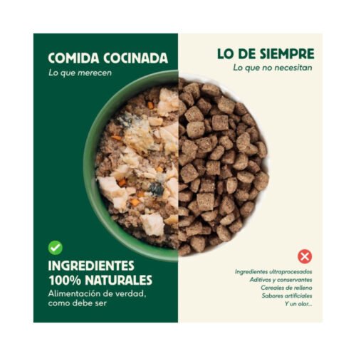 Comparativa comida natural vs pienso ultraprocesado para gatos