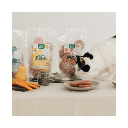 Gato comiendo hamburguesas de pollo BARF Wild Balance