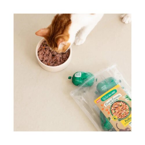 Gato disfrutando de su ración de Wild Balance Pollo