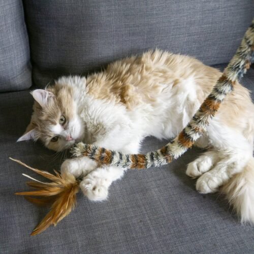 Gato doméstico jugando con las plumas del KONG Teaser Swizzle Bird en un sofá