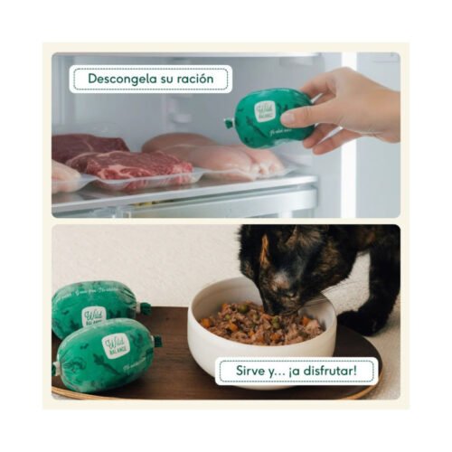 Guía de preparación y ración Wild Balance Gato