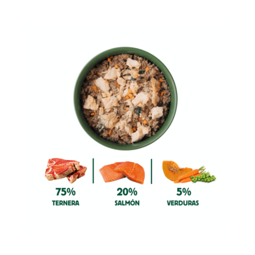 Ingredientes naturales de Wild Balance Salmón y Ternera