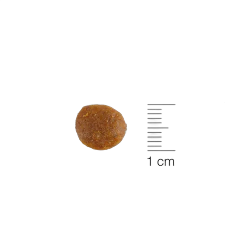 Natura Diet Adult Salmon & Vegs