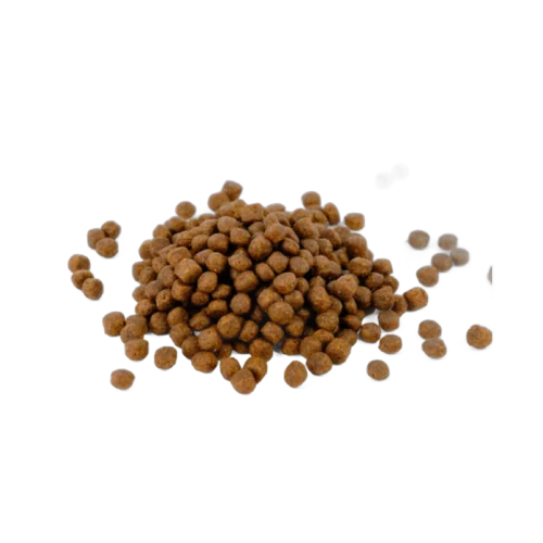 Natura Diet Kitten Salmon & Vegs