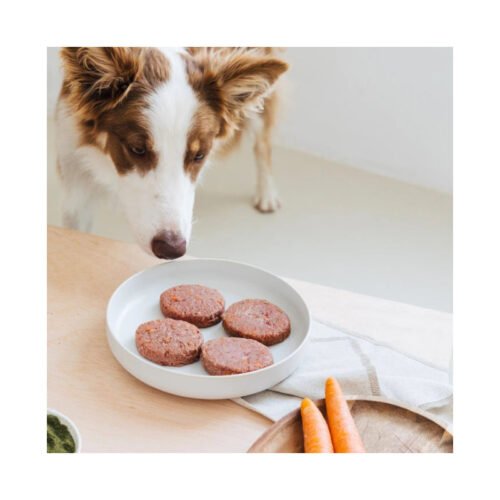 Perro esperando su plato de hamburguesas BARF Wild Balance
