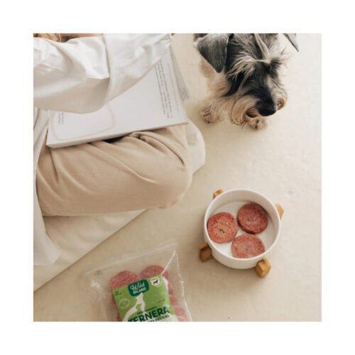 Perro Schnauzer esperando su ración de ternera Wild Balance