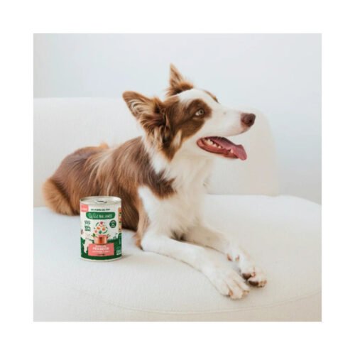 Perro disfrutando de su lata Wild Balance