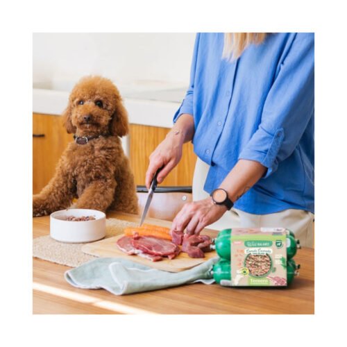 Perro caniche con ingredientes frescos Wild Balance