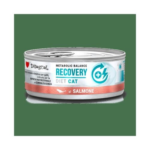 Disugual Recovery Salmón